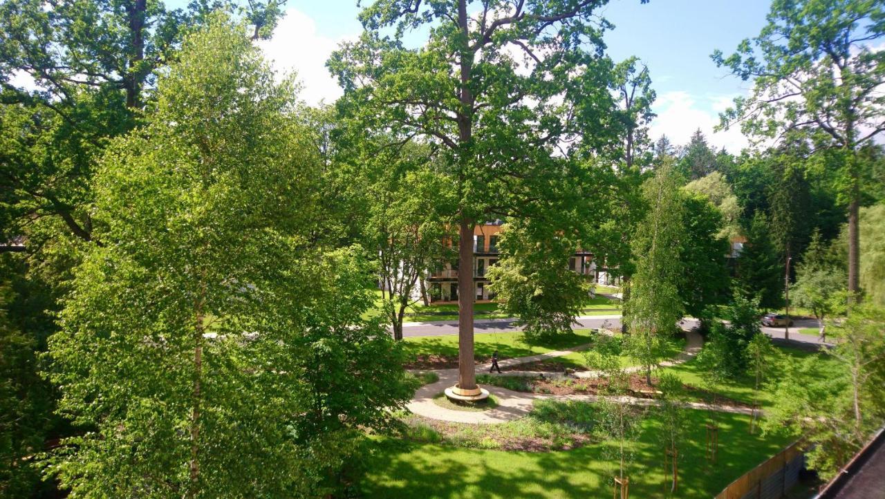 Enklawa Bialowieska Forest & Spa Hajnówka 외부 사진